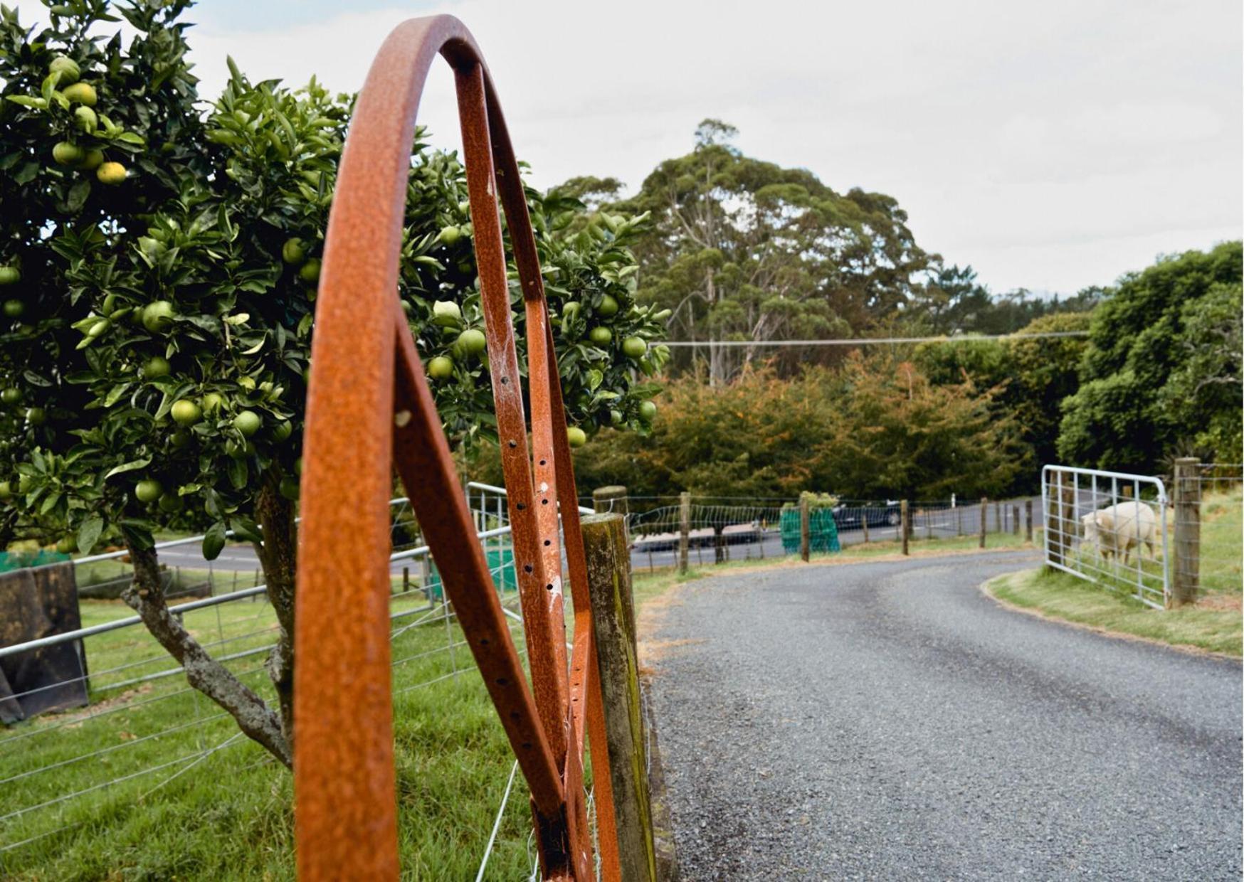 Minden Meadows Hotel Tauranga Kültér fotó